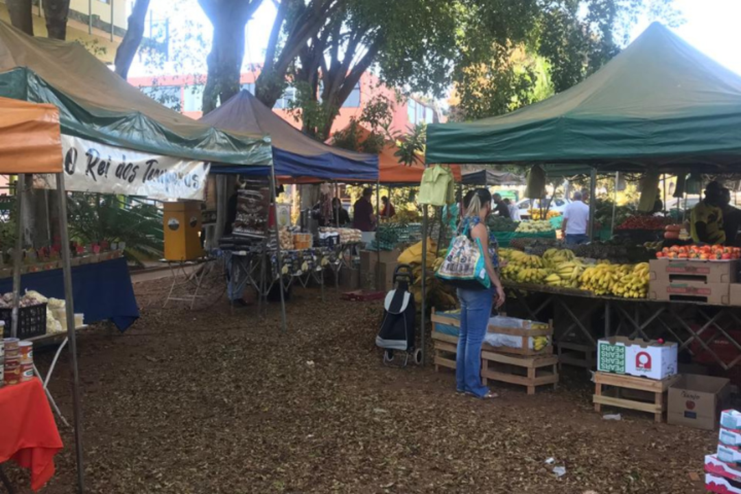 Design sem nome - 2025-11-20T161308.215