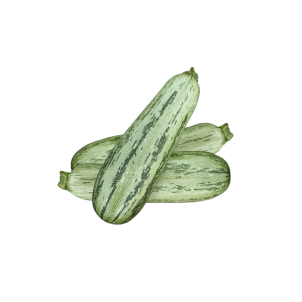 Abobrinha Italiana