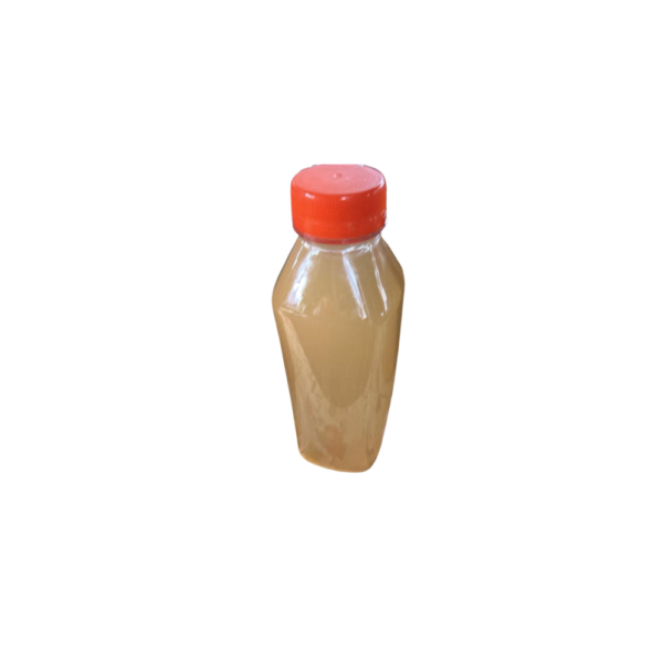 Kombucha Abacaxi com Gengibre