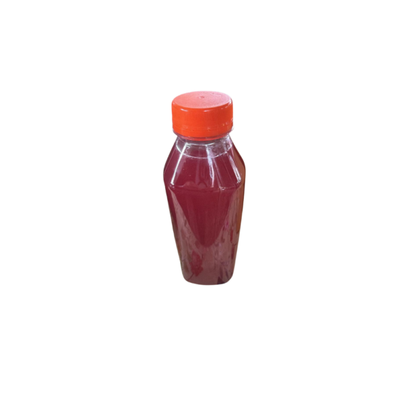 Kombucha Gengibre