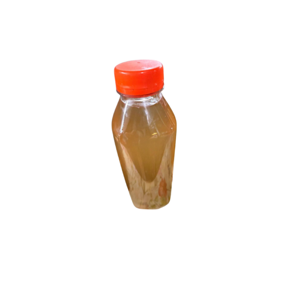 Kombucha Natural